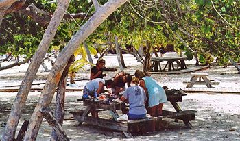 Brac Reef Beach