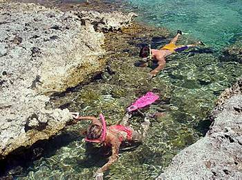 Brac Reef Beach 3* Cayman Brac